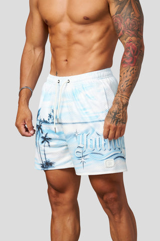 1127 - Daydream Mesh Shorts